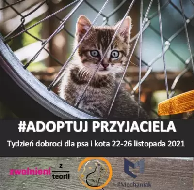 Wsparliśmy Kocie Ranczo i Azyl dla psów image