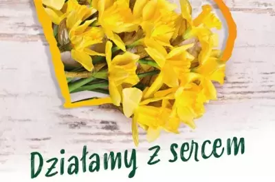 Działamy logo