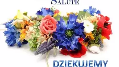 Tulipany img