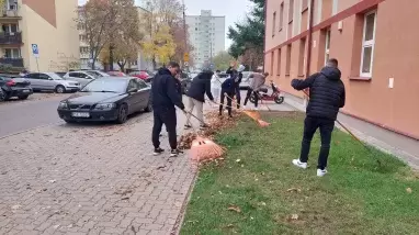 Kasztany