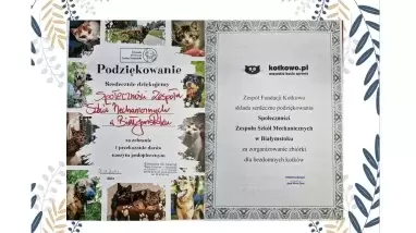 Kotkowo