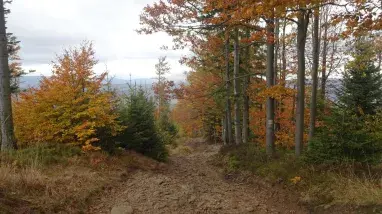 Beskid